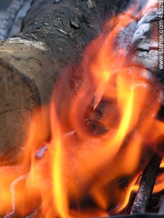 Fire wood -  - MORE IMAGES. Photo #45326