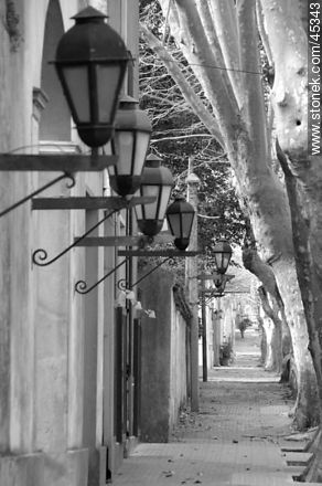 Calle Rivadavia en Colonia del Sacramento -  - IMÁGENES VARIAS. Foto No. 45343