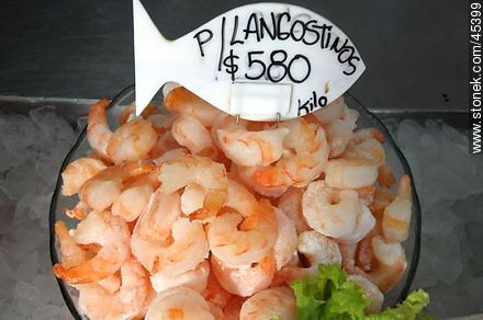 Fresh prawns. - Department of Montevideo - URUGUAY. Photo #45399