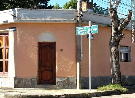 Calle Franklin Roosevelt - Departamento de Lavalleja - URUGUAY. Foto No. 45430