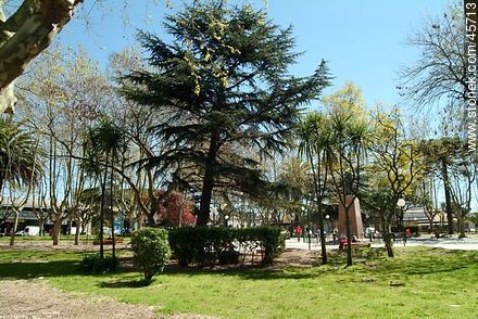 Square in Pando - Department of Canelones - URUGUAY. Foto No. 45713