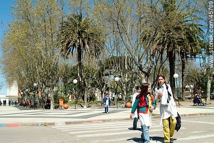 Crosswalk to the school - Department of Canelones - URUGUAY. Foto No. 45709