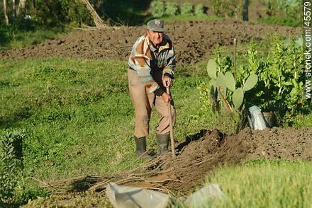 Empalme Olmos. Anciano carpiendo la tierra. - Departamento de Canelones - URUGUAY. Foto No. 45579