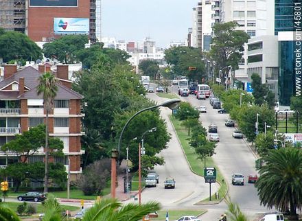 Calle 26 de Marzo - Departamento de Montevideo - URUGUAY. Foto No. 45801