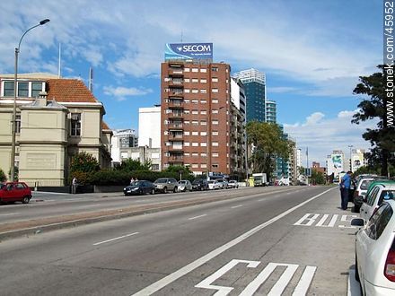 Avenida Italia. Solo bus. - Department of Montevideo - URUGUAY. Foto No. 45952