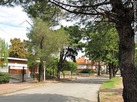 Dr. Turenne St. - Department of Montevideo - URUGUAY. Foto No. 45922
