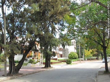 Calle Dr. Turenne - Departamento de Montevideo - URUGUAY. Foto No. 45920