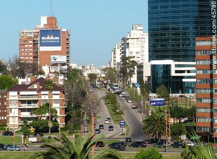 26 de Marzo Ave. - Department of Montevideo - URUGUAY. Photo #45780