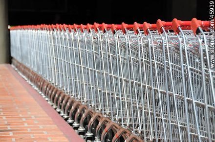 Row of shopping carts -  - MORE IMAGES. Photo #45939