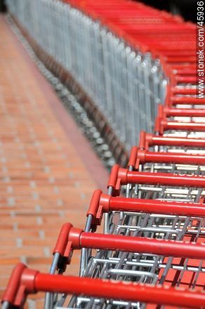 Row of shopping carts -  - MORE IMAGES. Photo #45936