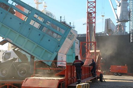 Descarga de chips de madera de camiones y carga a barco. - Departamento de Montevideo - URUGUAY. Foto No. 45999