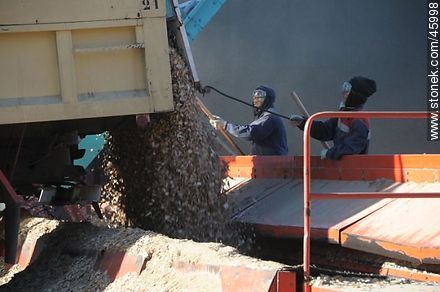 Operarios en la descarga de chips de madera - Departamento de Montevideo - URUGUAY. Foto No. 45998
