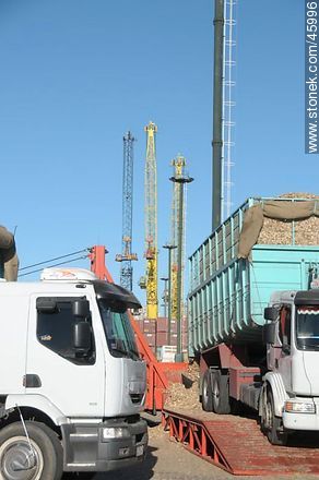 Truckloads of wood chips - Department of Montevideo - URUGUAY. Photo #45996