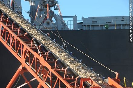 Conveyor load of wood chips - Department of Montevideo - URUGUAY. Photo #45995