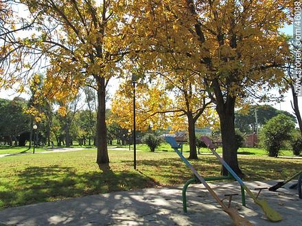 Subibaja en el Parque Batlle - Departamento de Montevideo - URUGUAY. Foto No. 46098