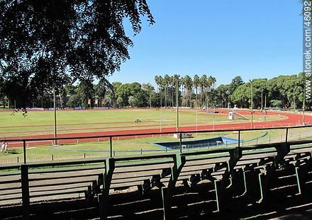 Pista de Atletismo Darwin Piñeirúa en el Parque Batlle - Departamento de Montevideo - URUGUAY. Foto No. 46092