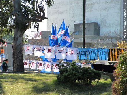 Flags of Nacional - Department of Montevideo - URUGUAY. Photo #46070