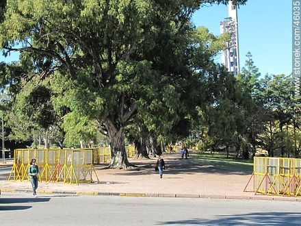Parque Batlle - Departamento de Montevideo - URUGUAY. Foto No. 46035