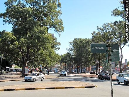 Ricaldoni and Vidiella streets - Department of Montevideo - URUGUAY. Photo #46031