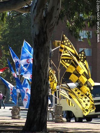 Flags of Peñarol and Nacional - Department of Montevideo - URUGUAY. Photo #46012