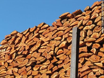 Stacked firewood. -  - MORE IMAGES. Photo #46140