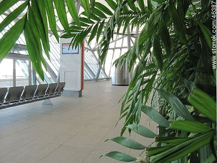 Verde del segundo piso - Departamento de Canelones - URUGUAY. Foto No. 46387