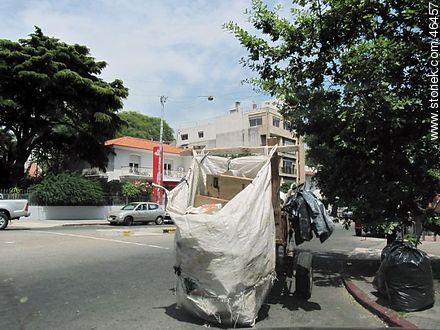 Waste picker -  - URUGUAY. Photo #46457