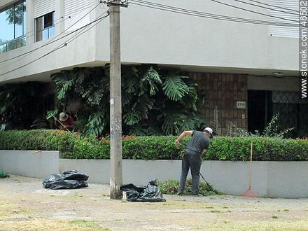 Gardeners at work - Department of Montevideo - URUGUAY. Photo #46502