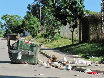 Contenedor de residuos desmayado -  - URUGUAY. Foto No. 46453