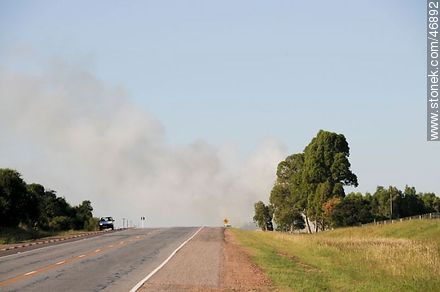 Fire on Route 9 - Department of Rocha - URUGUAY. Photo #46892