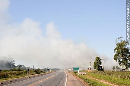 Fire on Route 9 - Department of Rocha - URUGUAY. Photo #46890