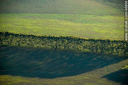 Rocha fields at dawn - Department of Rocha - URUGUAY. Foto No. 46869