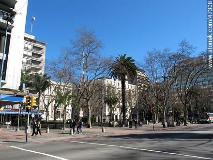 Plaza Libertad en invierno. - Departamento de Montevideo - URUGUAY. Foto No. 47308