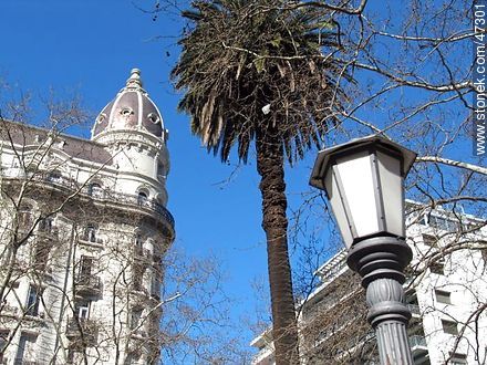 Farol, palmera y Palacio Montero - Departamento de Montevideo - URUGUAY. Foto No. 47301