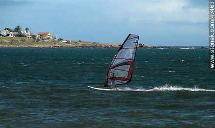 Windsurf - Departamento de Maldonado - URUGUAY. Foto No. 47463