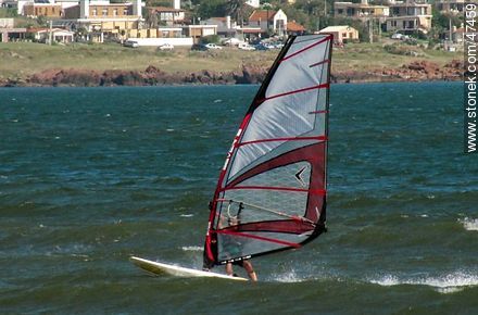 Windsurf - Department of Maldonado - URUGUAY. Photo #47459