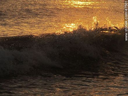 Rompiente en la orilla a la puesta del sol - Departamento de Maldonado - URUGUAY. Foto No. 47501