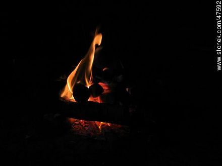 Fuego de parrilla -  - IMÁGENES VARIAS. Foto No. 47592
