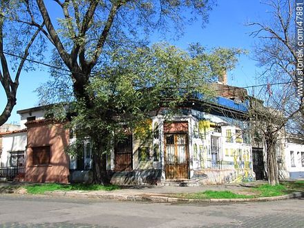 Street Carlos Solé - Department of Montevideo - URUGUAY. Photo #47881