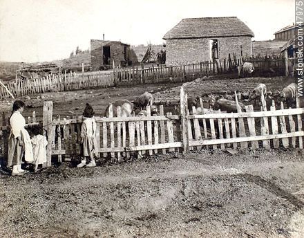 Vivienda rural a principios del siglo XX -  - URUGUAY. Foto No. 47975