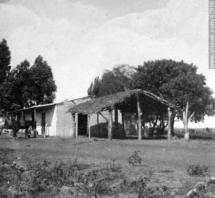 Uruguayan countryside in the early twentieth century -  - URUGUAY. Photo #47958