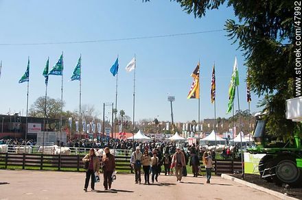 Ground of the Rural Exposition 2011 - Department of Montevideo - URUGUAY. Photo #47992