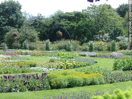 Botanical Garden. Flower beds. - Ireland - BRITISH ISLANDS. Foto No. 48690
