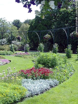 Botanical Garden. Flower beds. - Ireland - BRITISH ISLANDS. Photo #48689