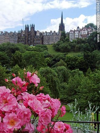 Rose Garden, the University of Edinburgh and The Hub. - Scotland - BRITISH ISLANDS. Foto No. 49047