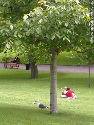 Princes Street Gardens. Couple of friends and a seagull in the park. - Scotland - BRITISH ISLANDS. Photo #49042