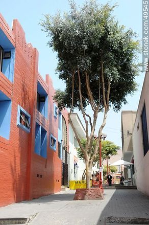 Peatonal de la Avenida Veintiuno de Mayo - Chile - Otros AMÉRICA del SUR. Foto No. 49545