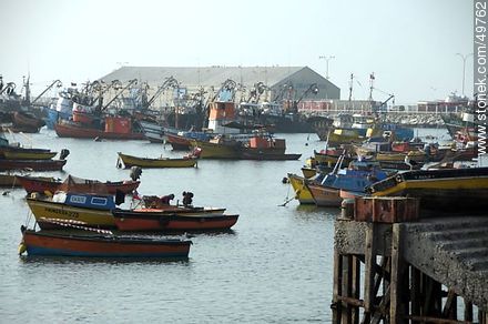 Fishing boats in the port of Arica - Chile - Others in SOUTH AMERICA. Photo #49762