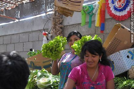 Offering fresh lettuce - Chile - Others in SOUTH AMERICA. Photo #49976