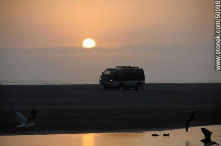 Aves en el humedal de la desembocadura del Río Lluta. - Chile - Otros AMÉRICA del SUR. Foto No. 50096